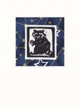 Raccoon Card